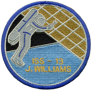 Patch Jeffrey Williams ISS-13