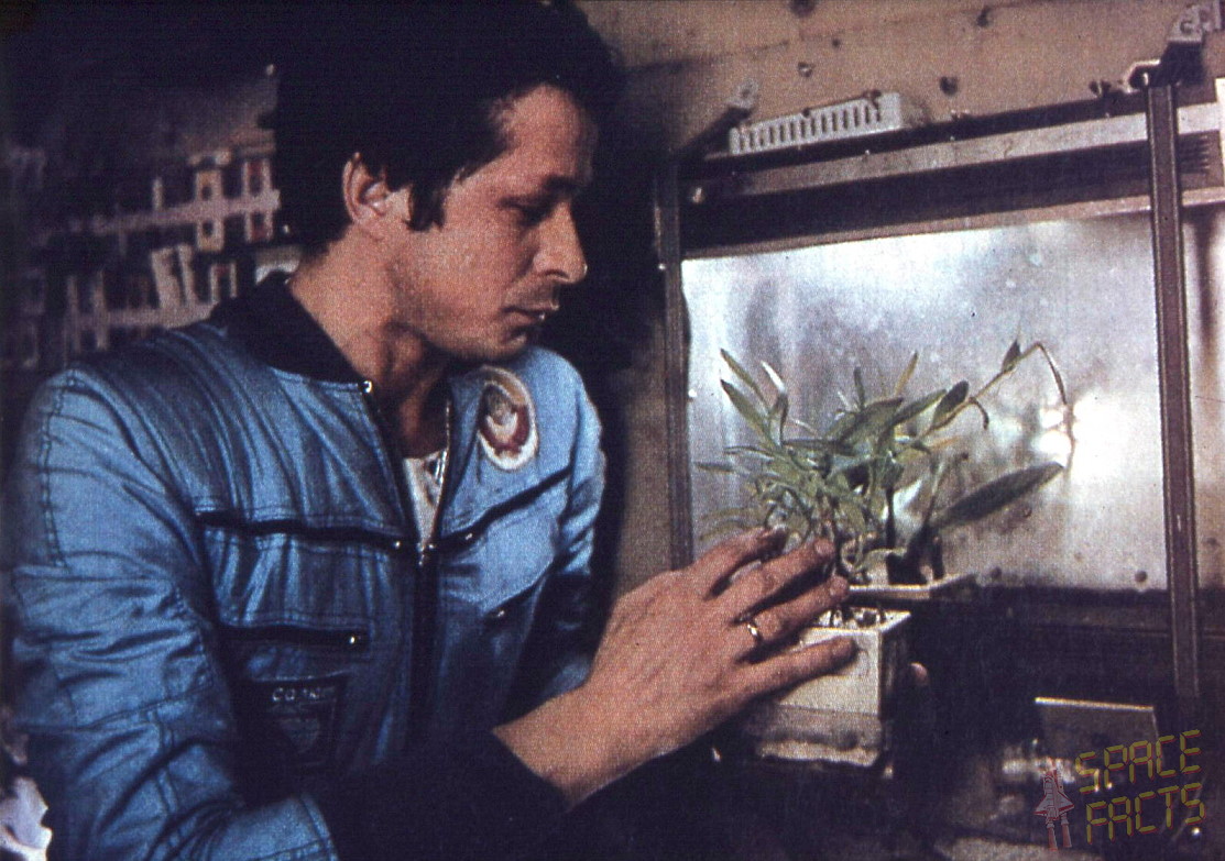 Sojus T4 an Bord von Saljut 6