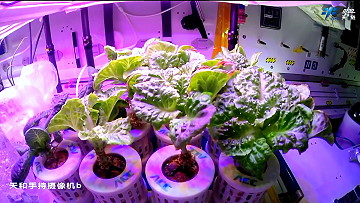 Leben an Bord von Tiangong