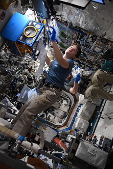 Anne McClain onboard ISS