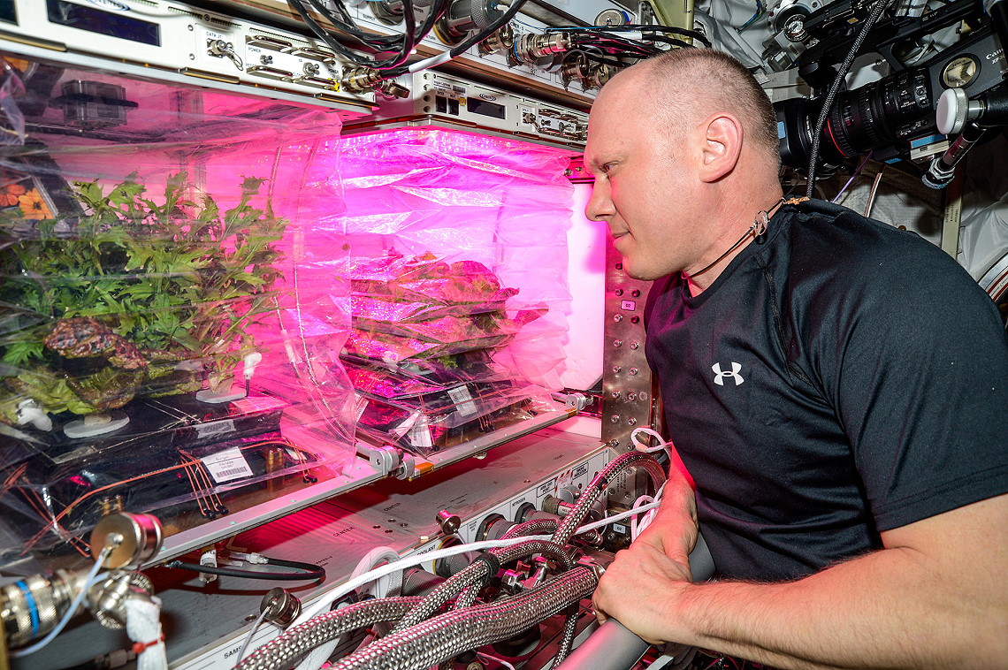 Leben an Bord der ISS