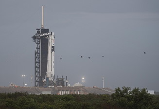 SpaceX Crew-1 on the launch pad