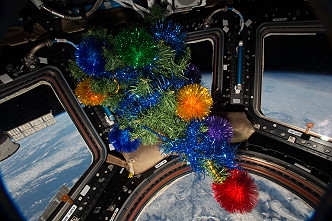 Christmas tree in the Cupola