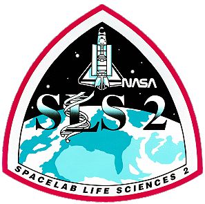 Patch SLS-2