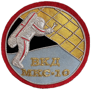 Patch: ISS Expedition 10 (EVA)