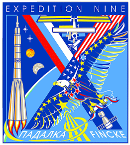Patch ISS Expedition 9