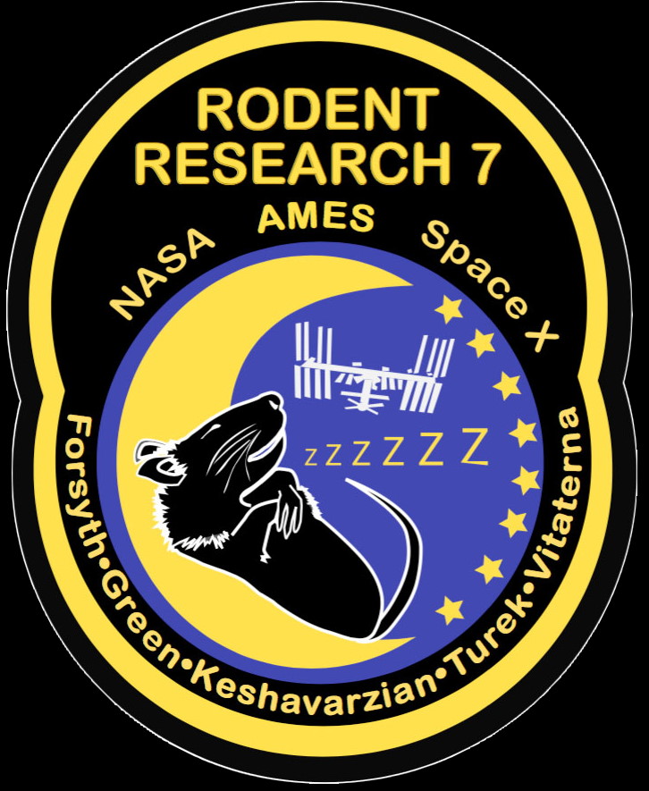 Logo Rodent Research VII