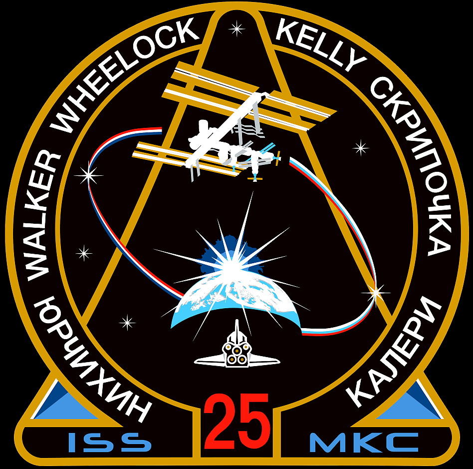 Patch ISS Expedition 25