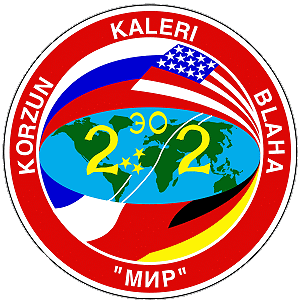 Patch Mir-22
