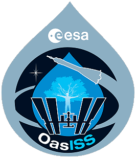 OasISS patch