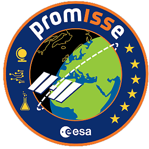 PROMISSE Patch