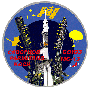 Patch Soyuz MS-13 (landing)