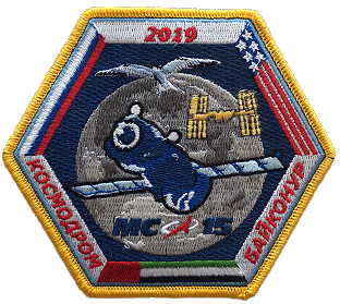 Patch Soyuz MS-15 backup crew