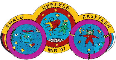 Patch Soyuz TM-25 Patch Soyuz TM-25