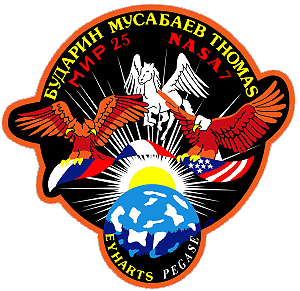 Patch Mir-25