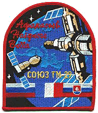 Patch Soyuz TM-24