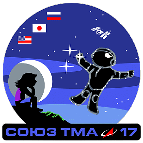 Patch Soyuz TMA-17 (backup crew)