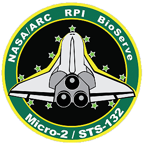 Micro-2 patch