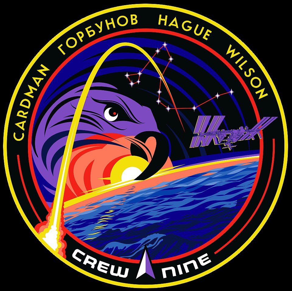 Patch SpaceX Crew-9