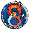 Patch SpaceX Crew-8