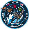 Patch Sojus MS-22